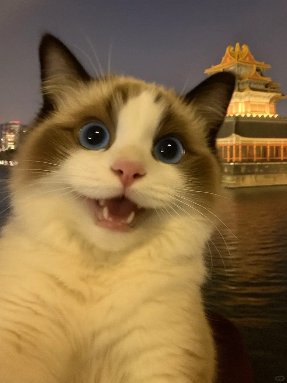 文章插图